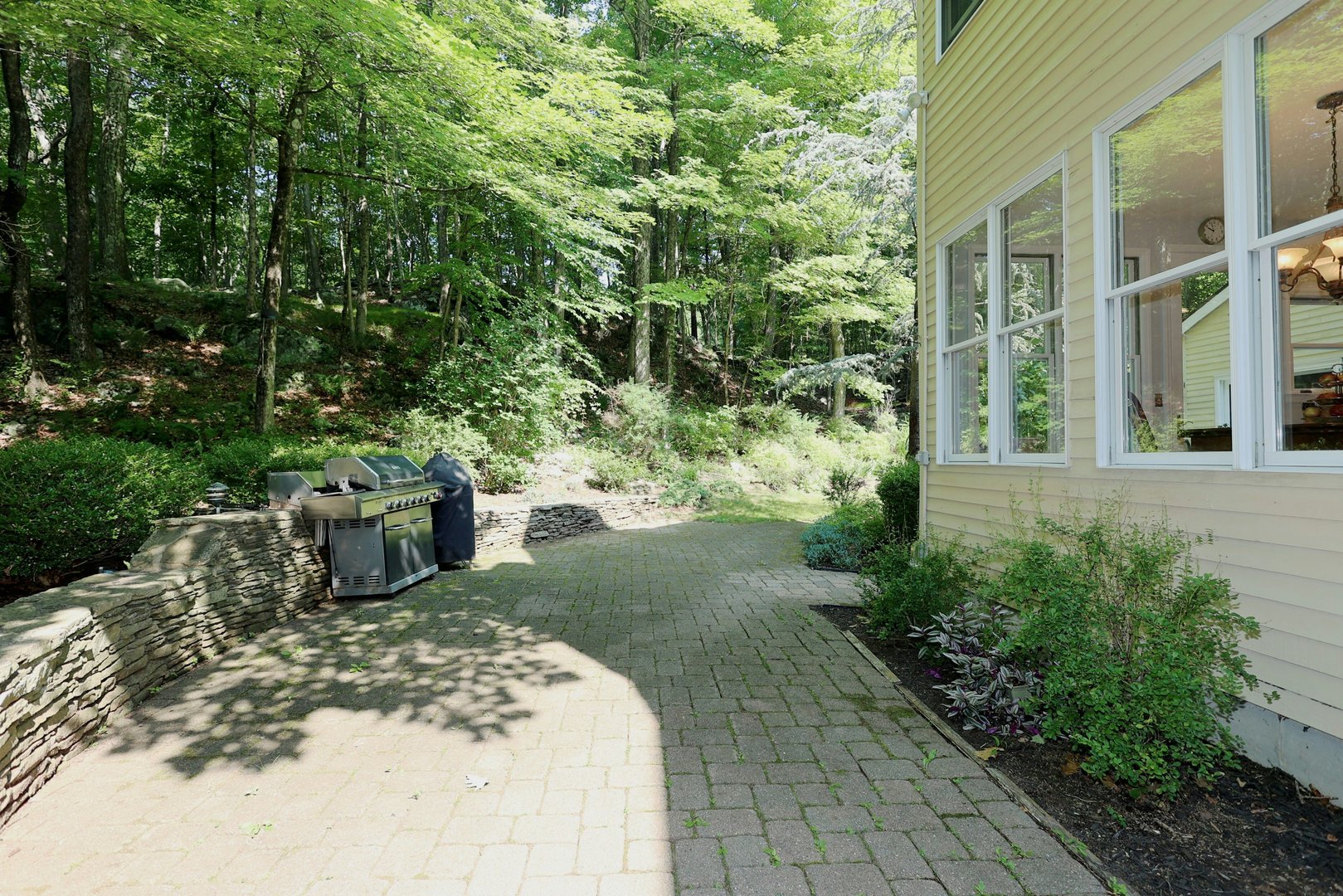 123a Peaceable Street Photo 5