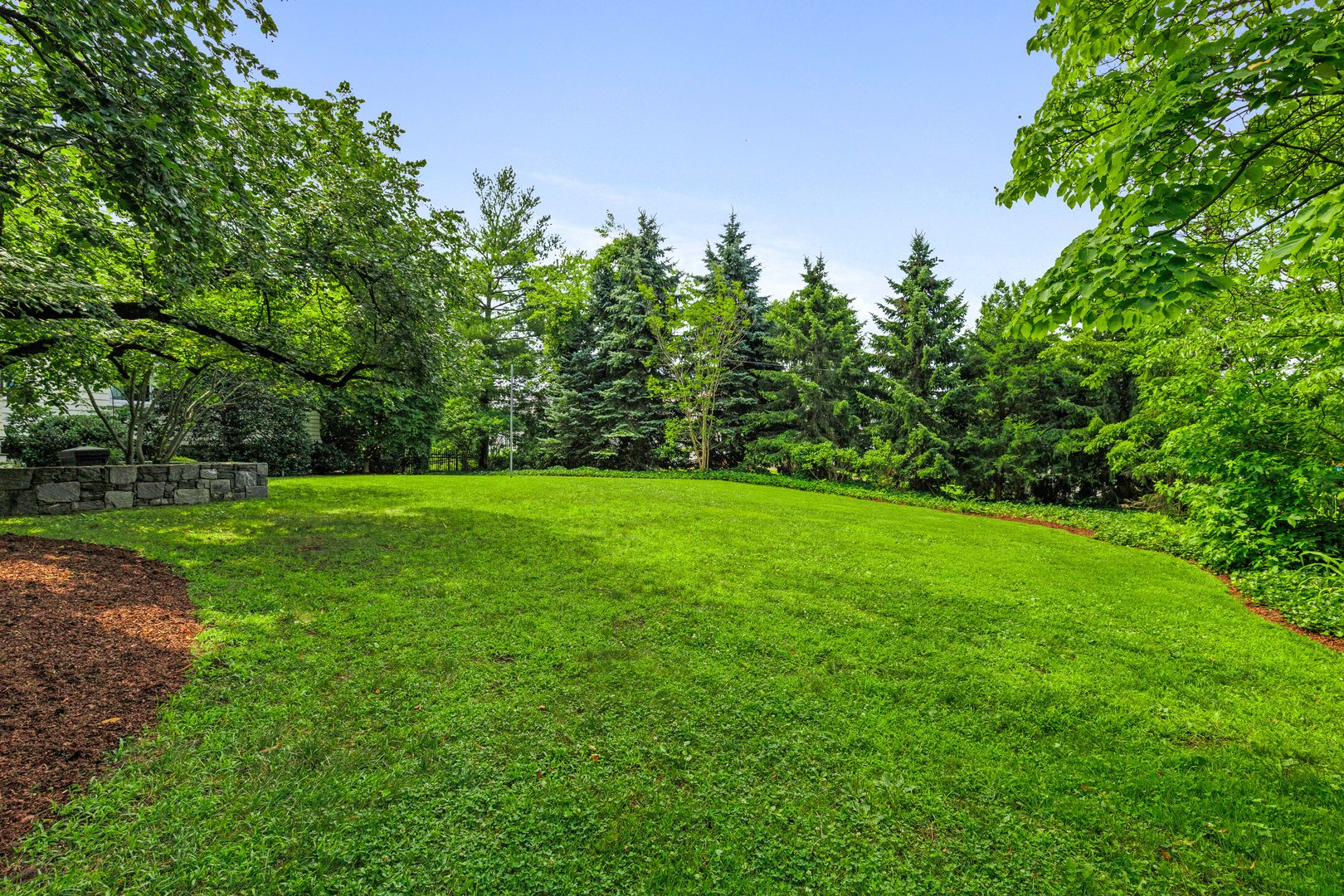 731 Forest Avenue Photo 4
