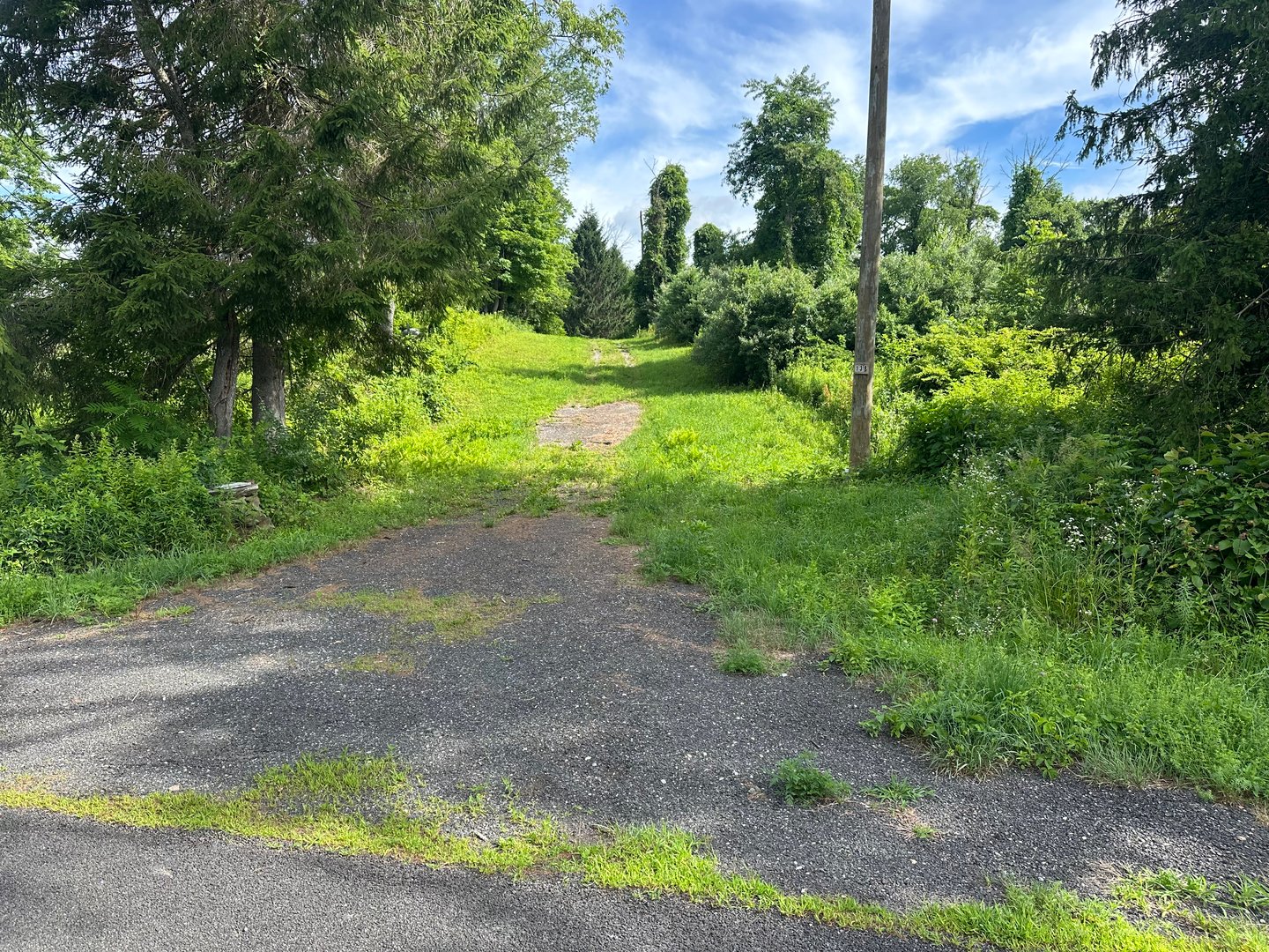 Morris Land Photo 4