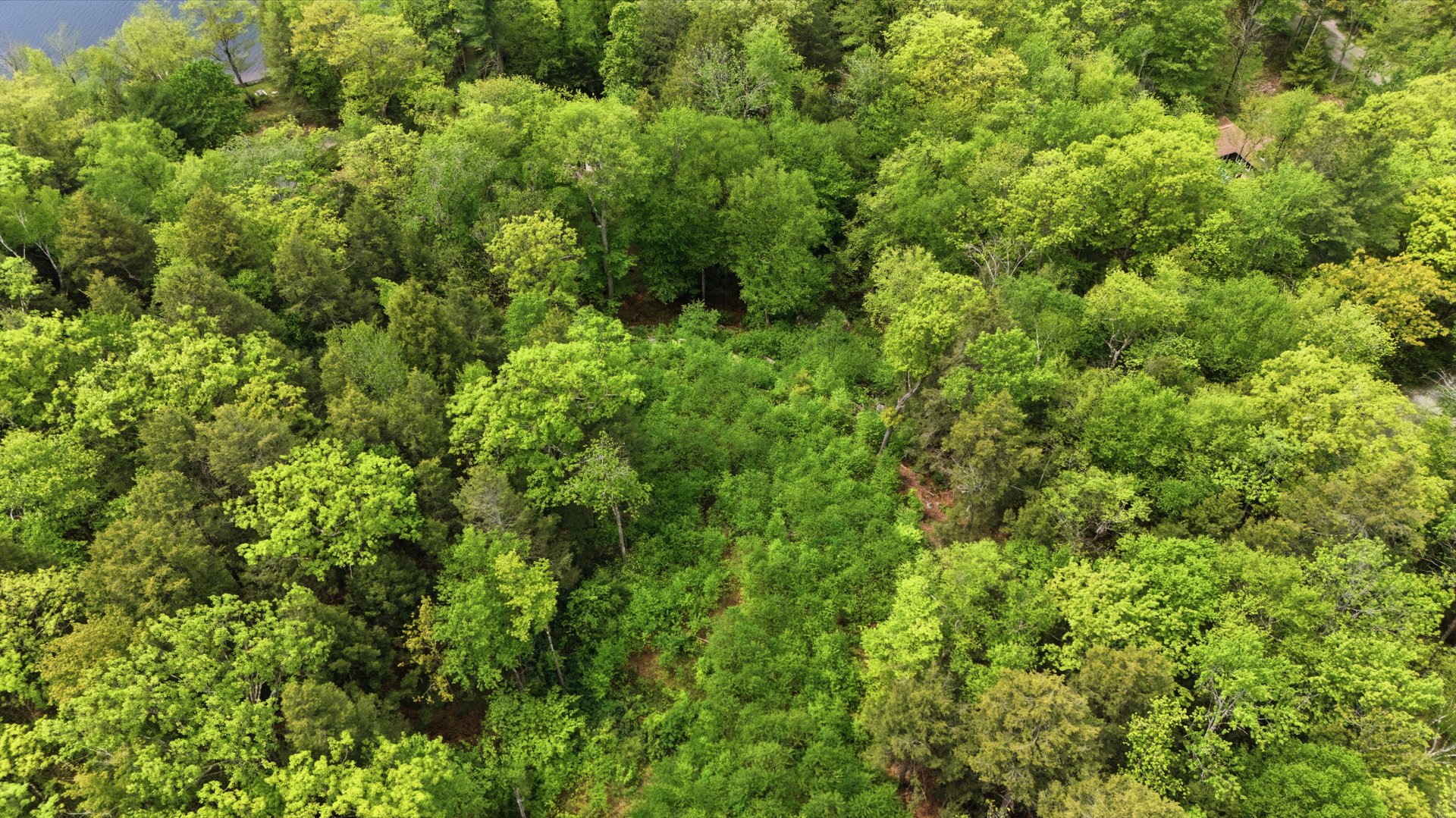 58 Stanley Rd Photo 1