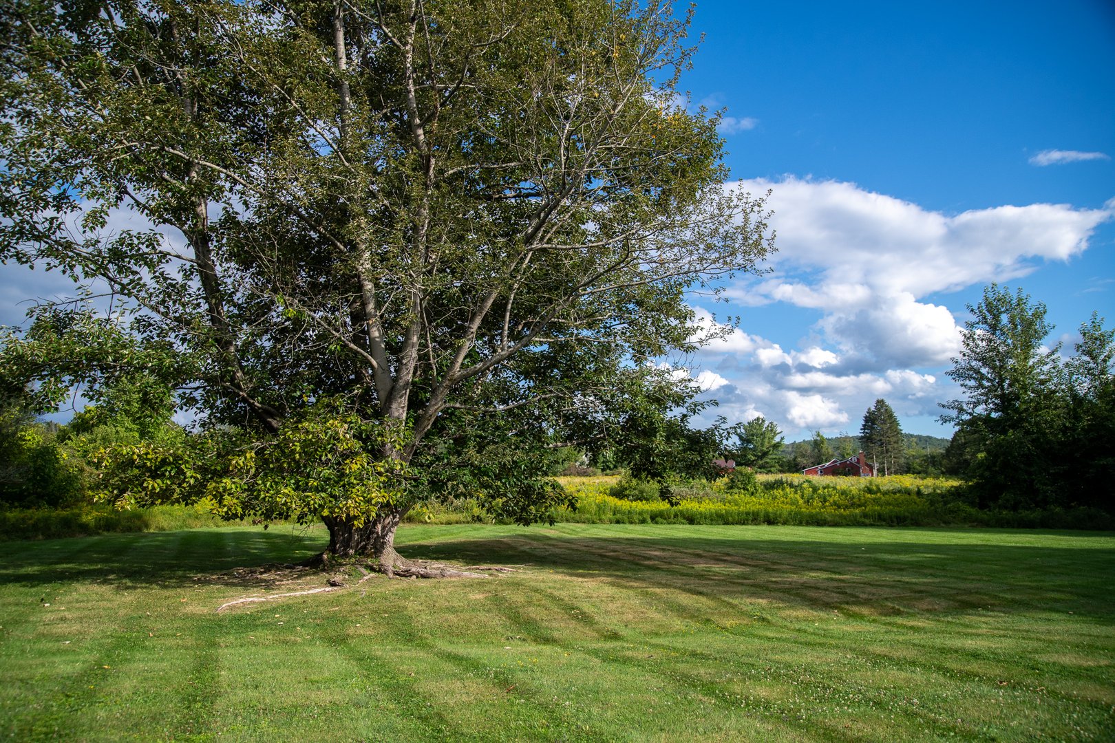 314 Schoolhouse Road Photo 6