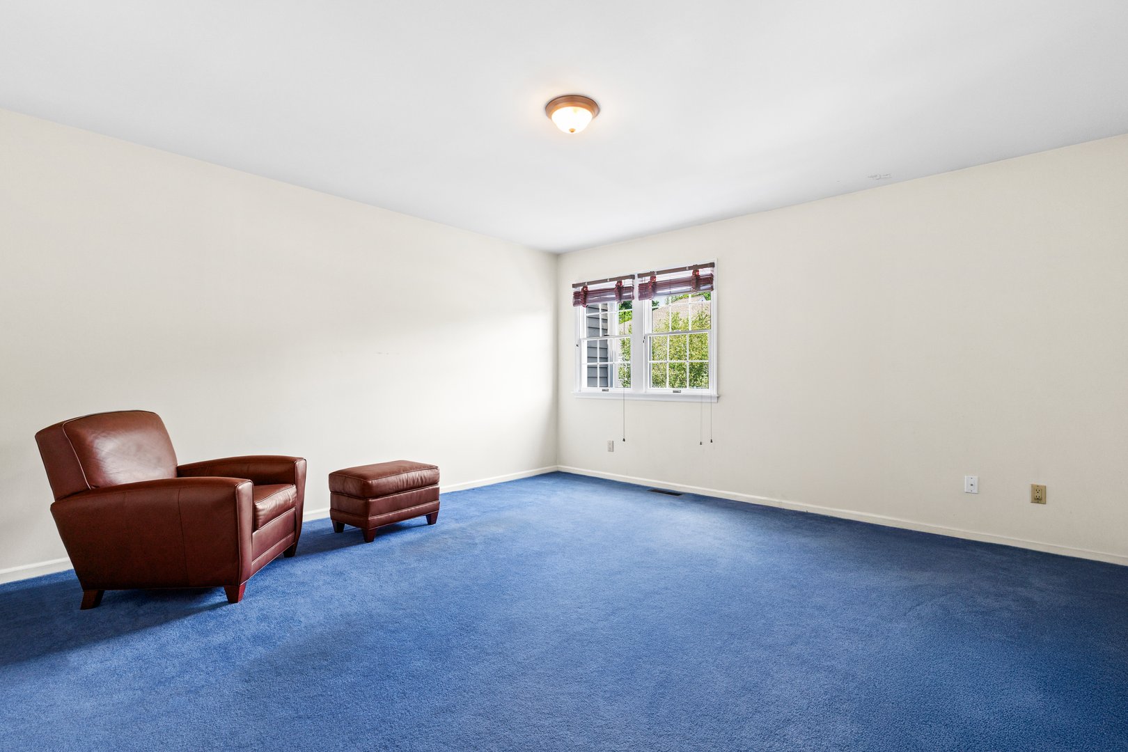 44 Alex Drive Photo 22