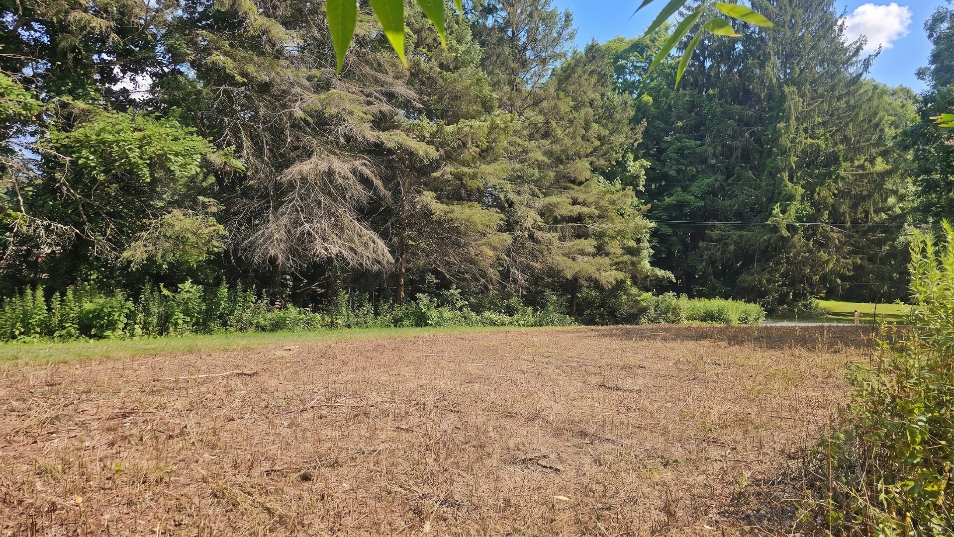 40 Oleson Drive Photo 26