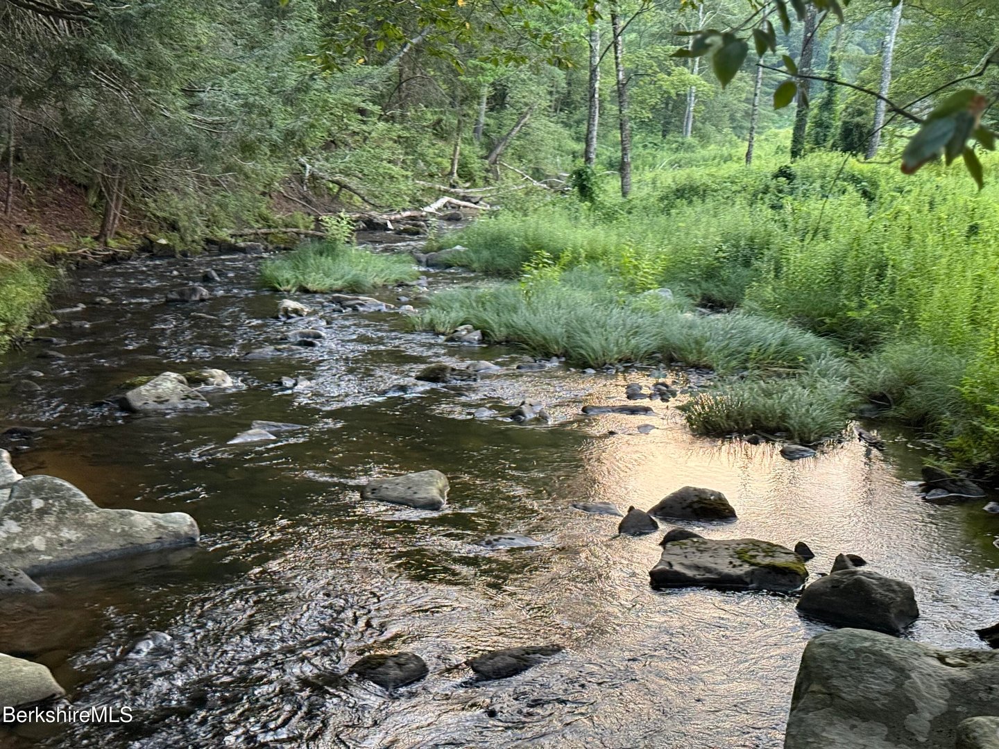 327 Chester Rd Photo 44