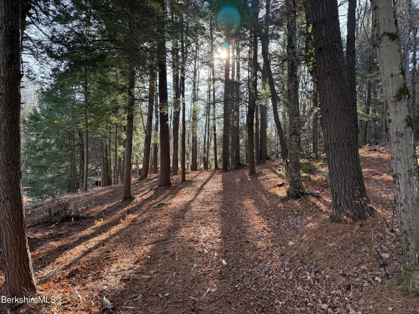 327 Chester Rd Photo 47