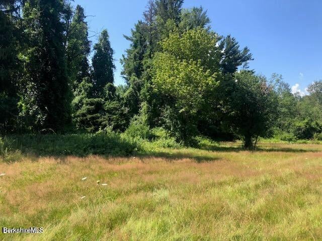 390 Tamaridge Rd Photo 26