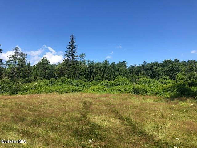 390 Tamaridge Rd Photo 27