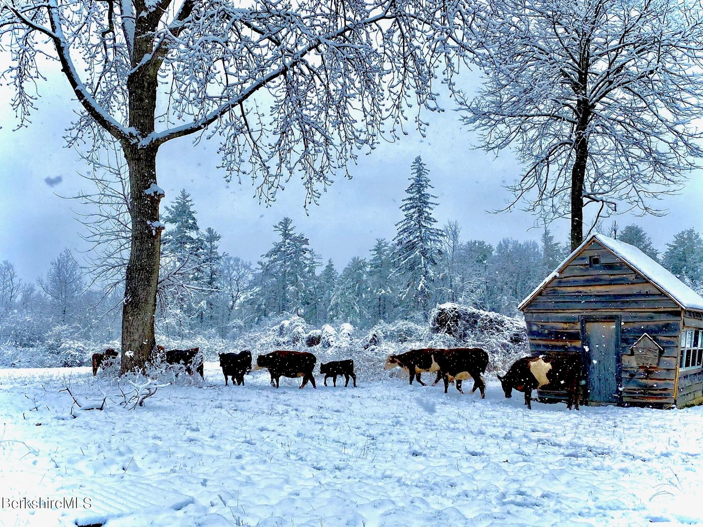 390 Tamaridge Rd Photo 31