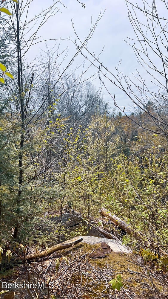 58 Stanley Rd Photo 4