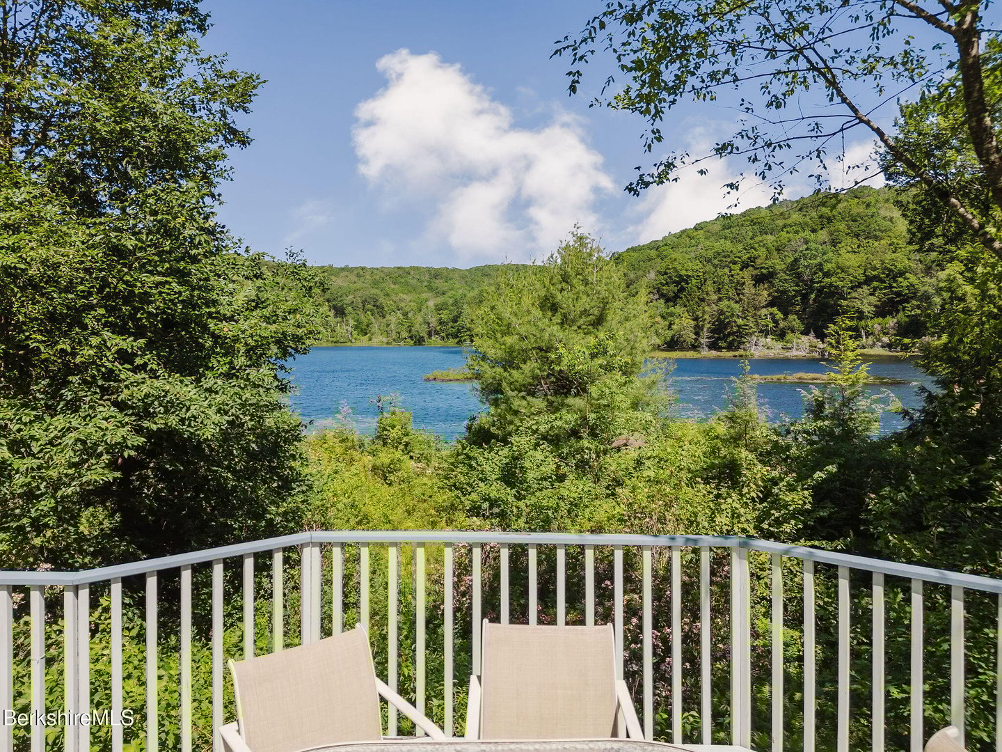 119 Hayes Pond Rd Photo 17