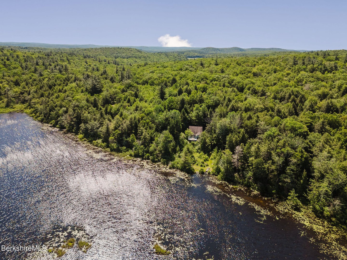 119 Hayes Pond Rd Photo 50