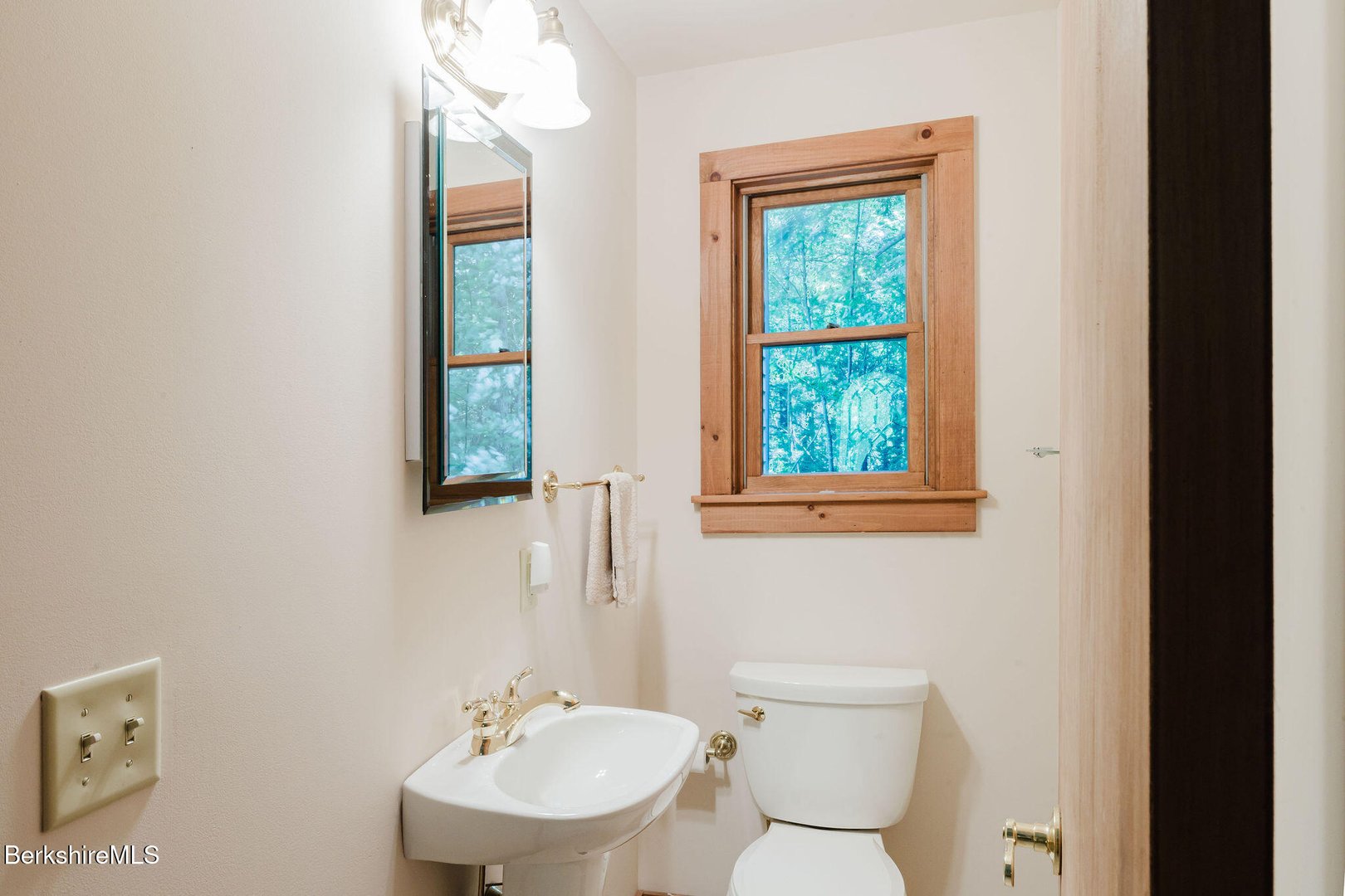 119 Hayes Pond Rd Photo 29