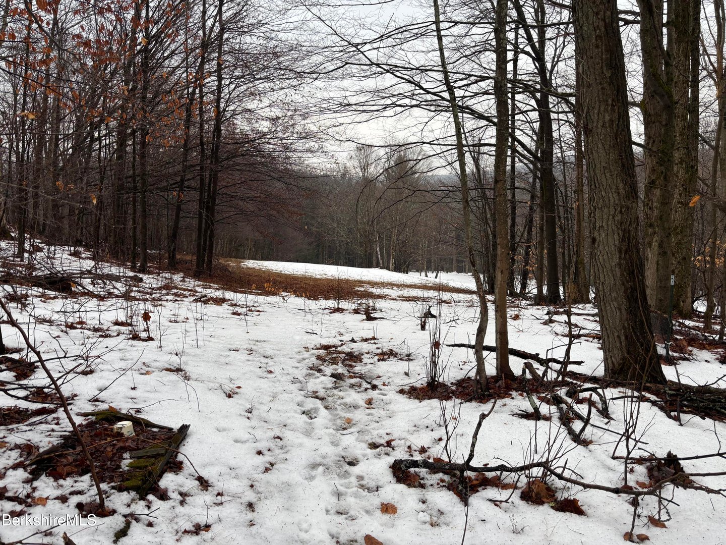 159 Simmons Rd Photo 3