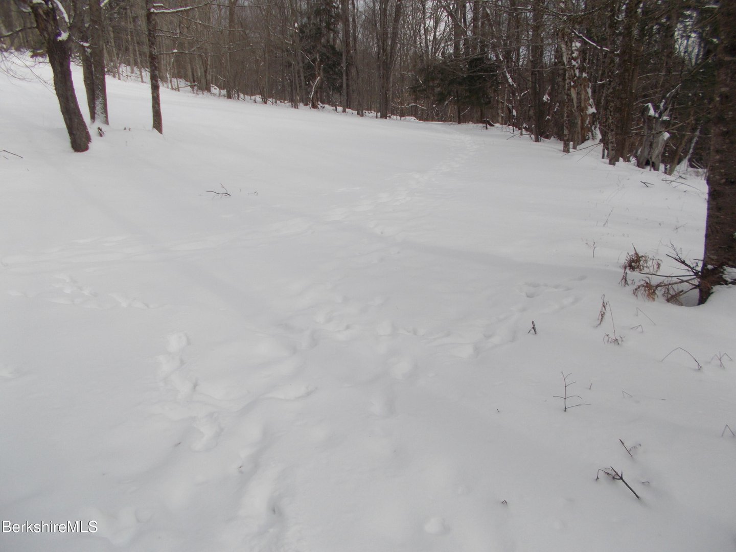 159 Simmons Rd Photo 10