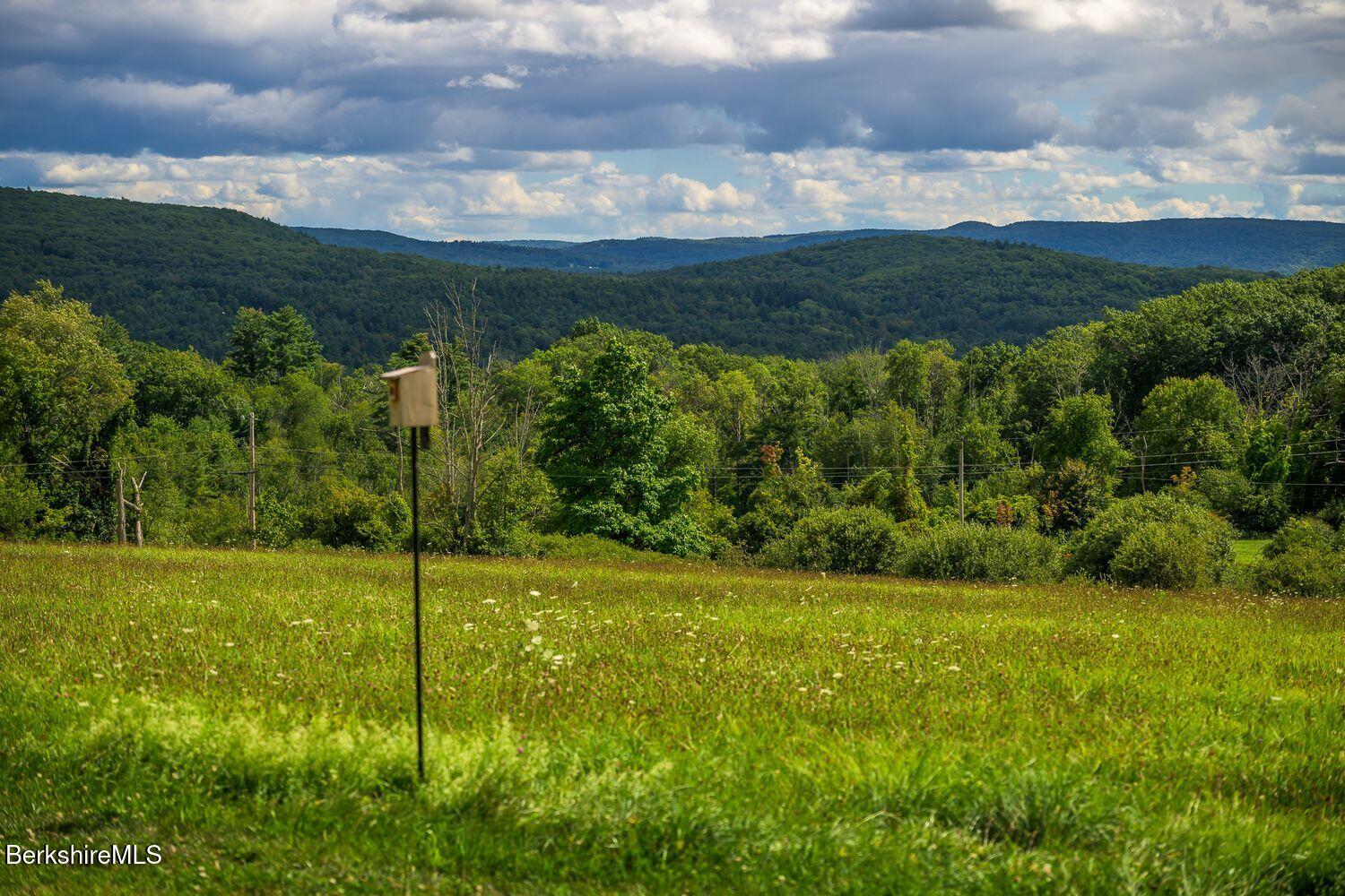 651 Hayes Hill Rd Photo 65