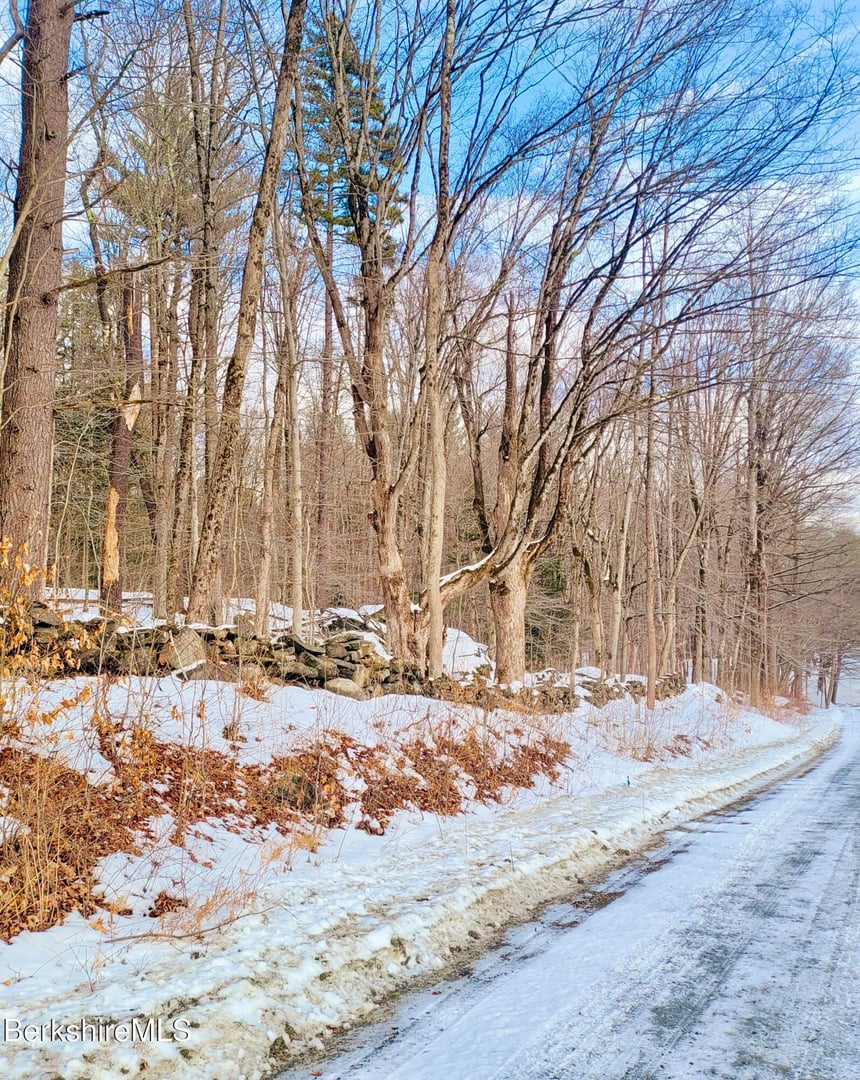 Lot 2B Leland Rd Photo 17