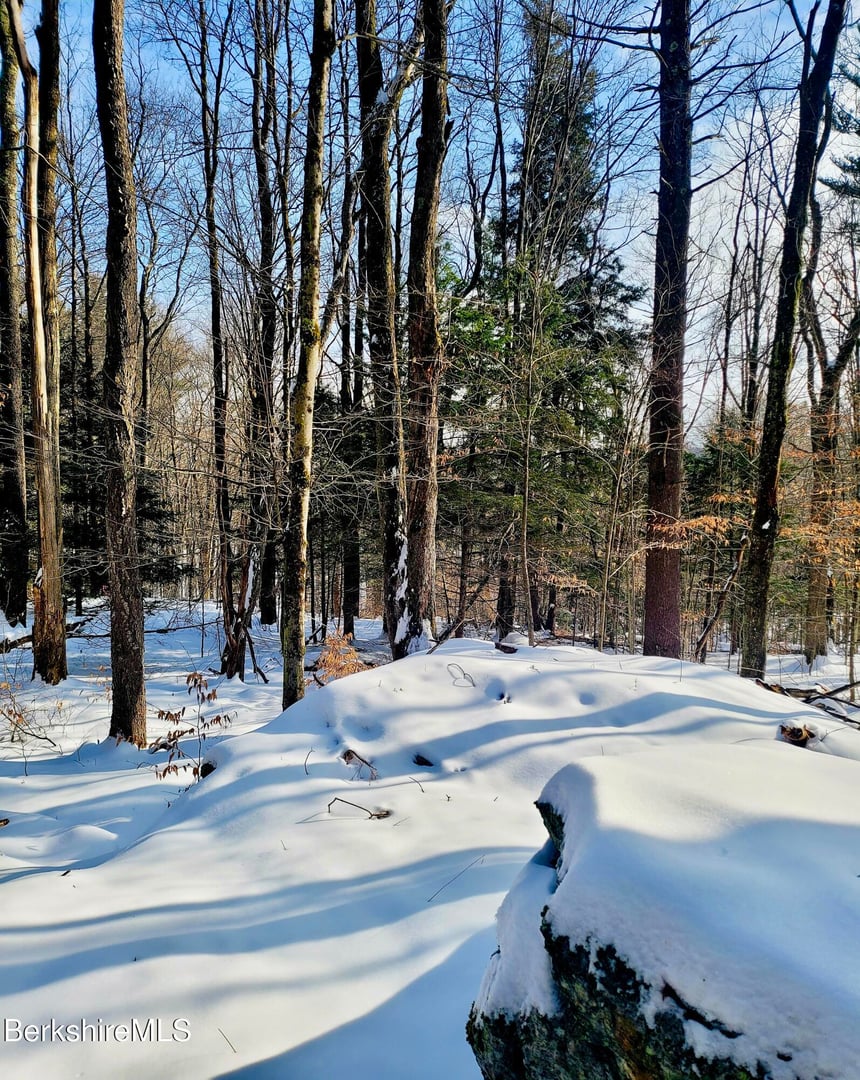 Lot 2B Leland Rd Photo 11