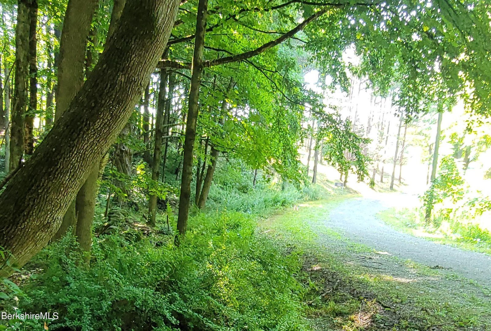 Lot 2B Leland Rd Photo 18