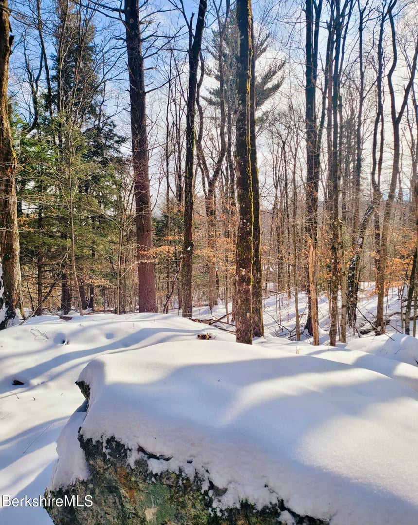 Lot 2B Leland Rd Photo 13