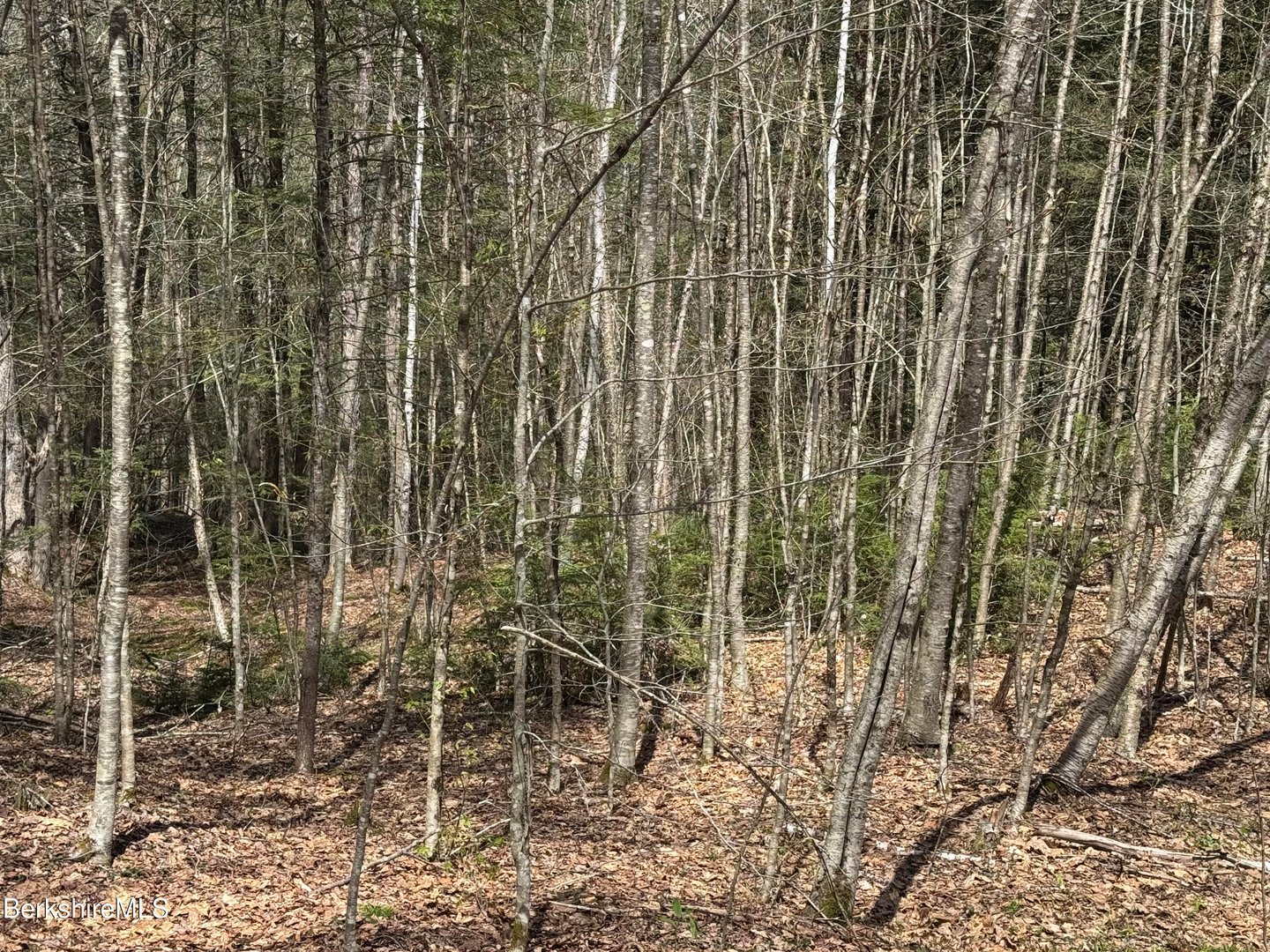 141 Stage Rd Photo 21
