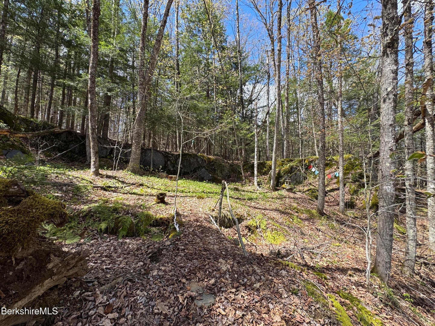 141 Stage Rd Photo 23
