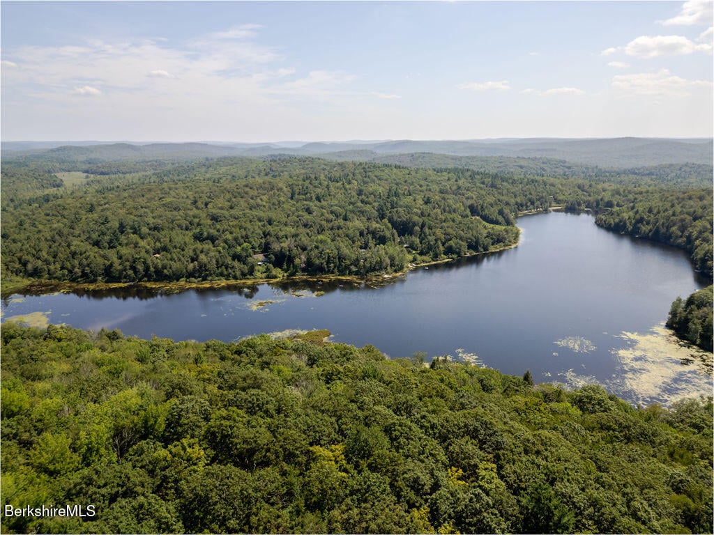 13 Hayes Pond Rd Photo 48