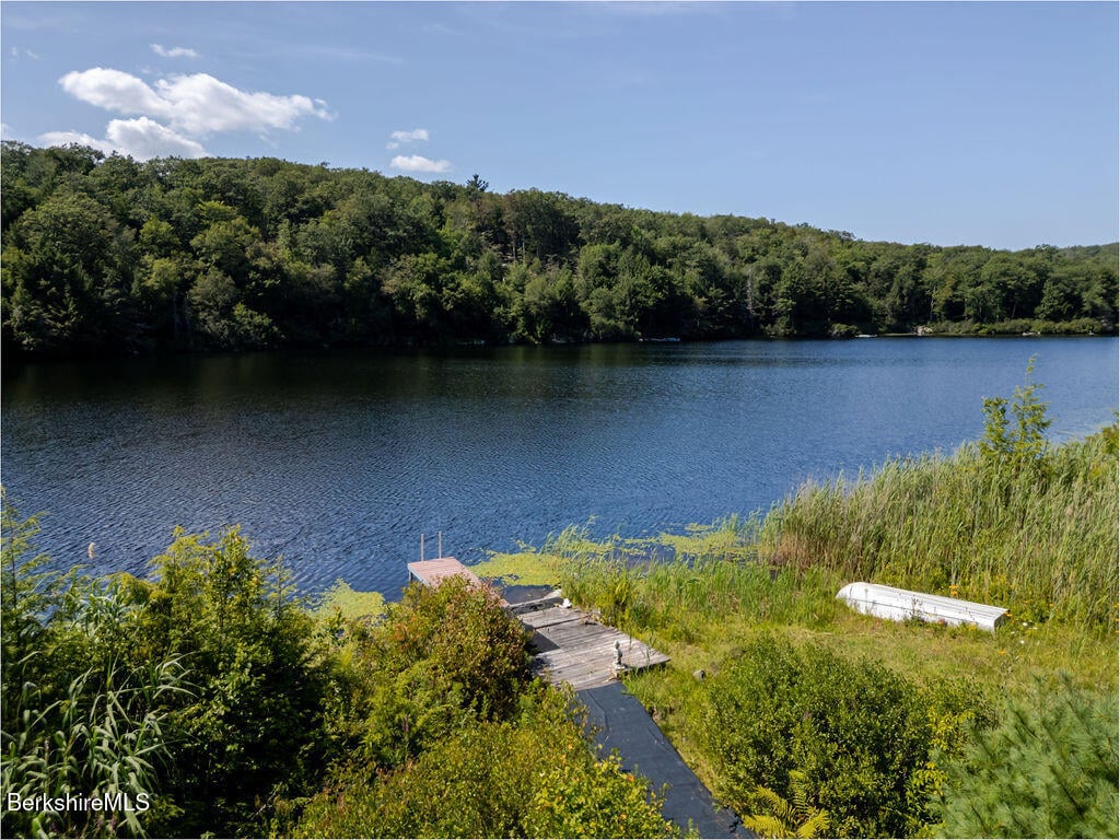 13 Hayes Pond Rd Photo 3