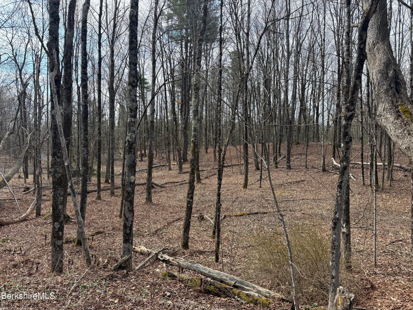 0 George Schnopp Rd Photo 4
