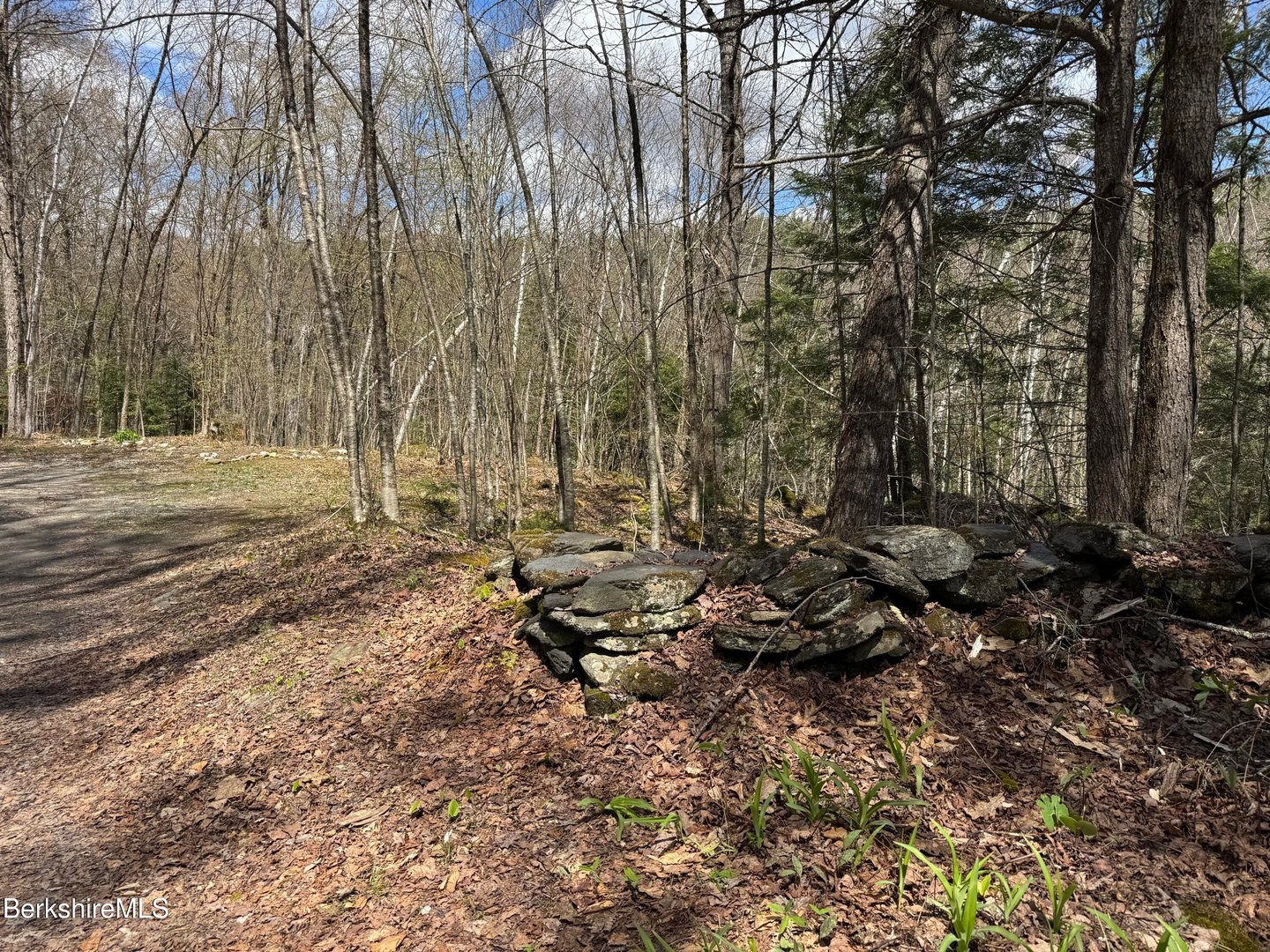 141 Stage Rd Photo 13