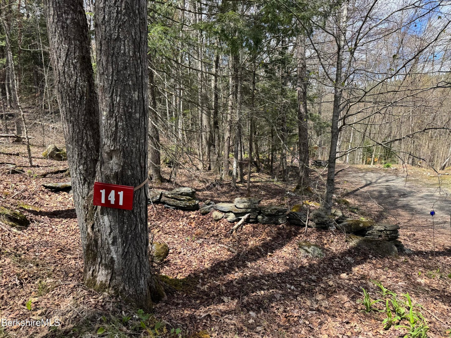 141 Stage Rd Photo 3