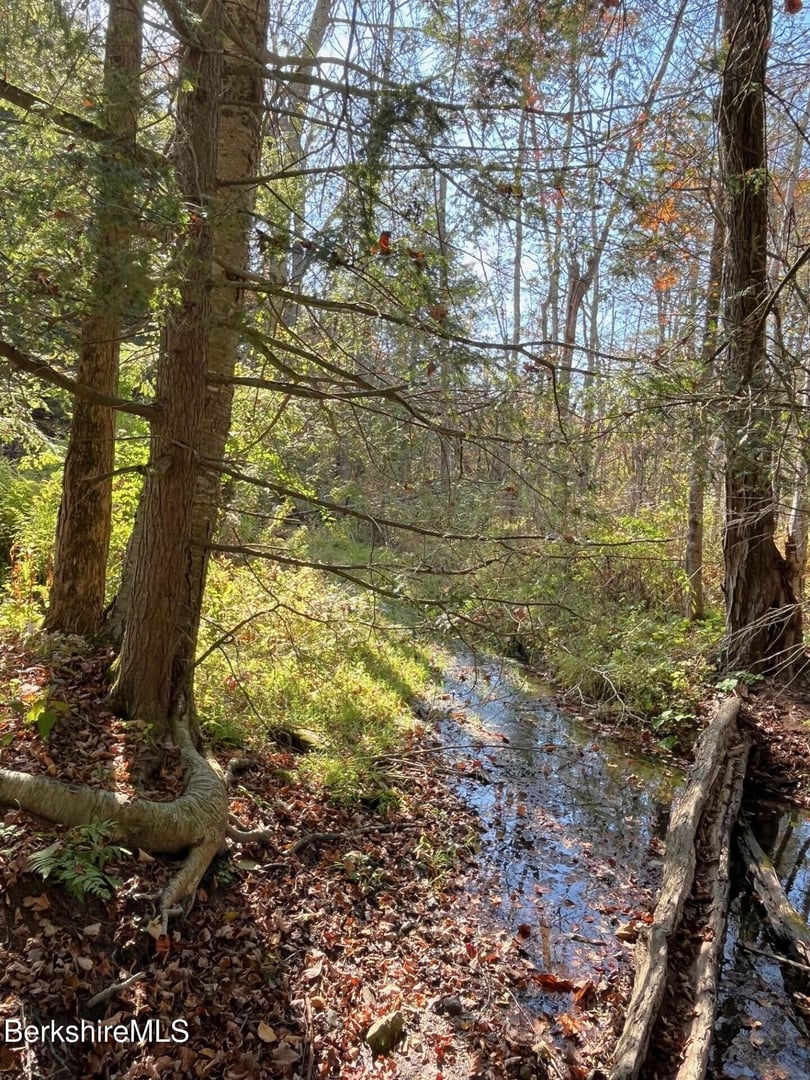 1020 Cascade St Photo 65