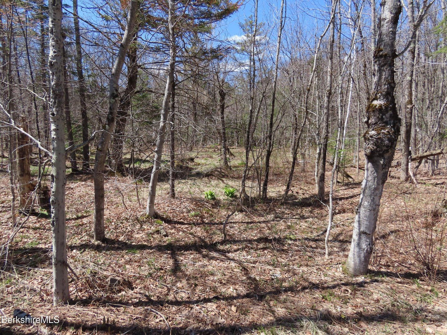 Blackstone Rd Photo 14