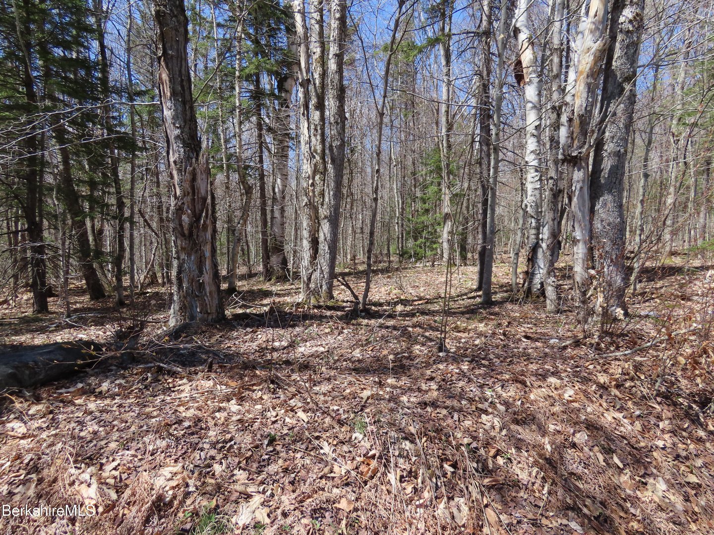 Blackstone Rd Photo 4
