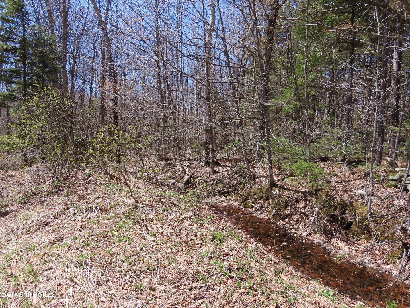 Blackstone Rd Photo 11