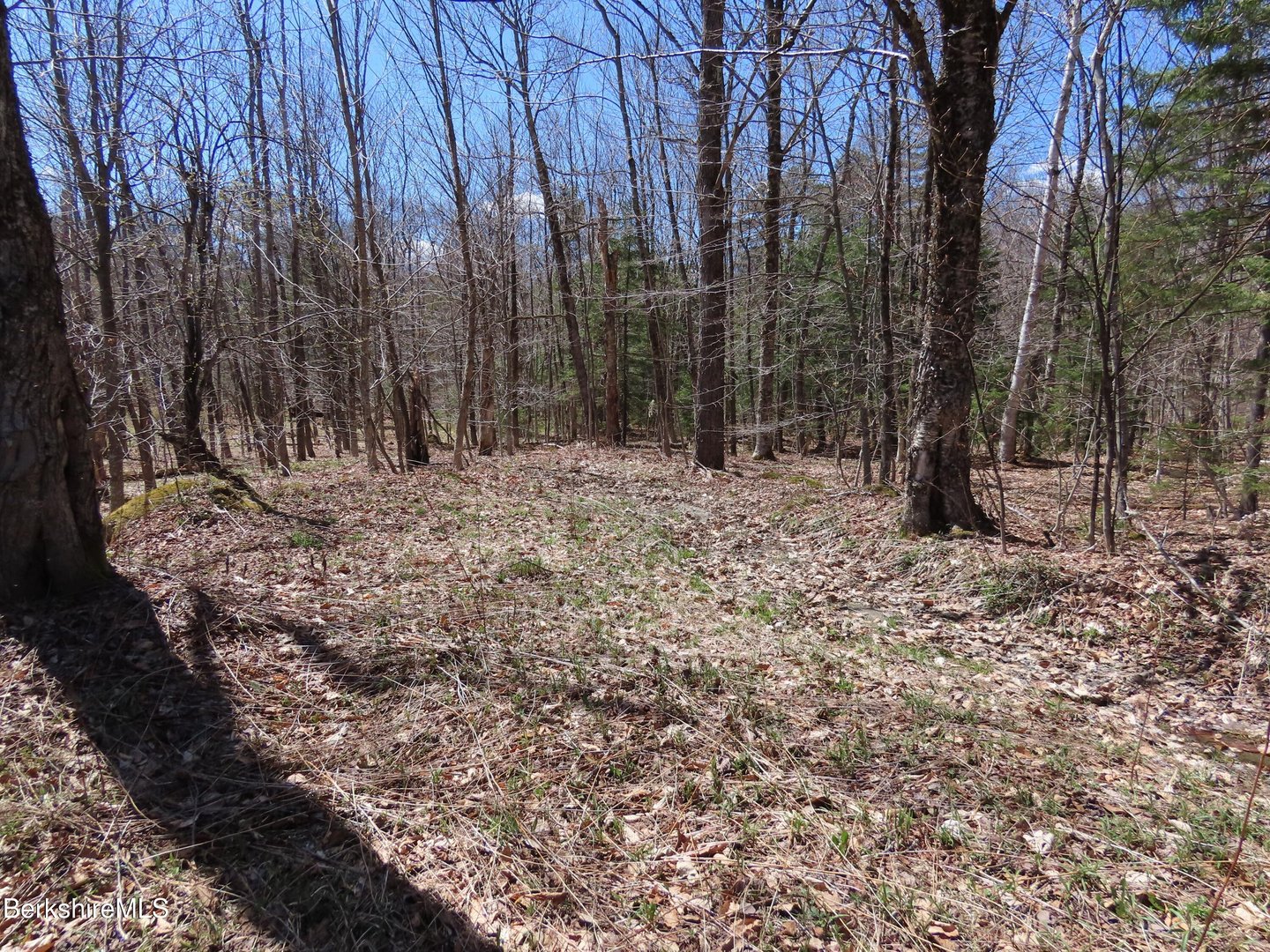 Blackstone Rd Photo 13