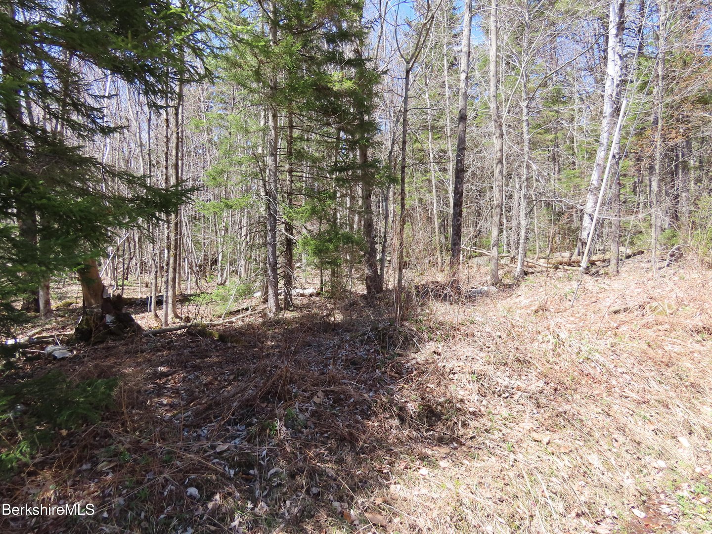 Blackstone Rd Photo 7