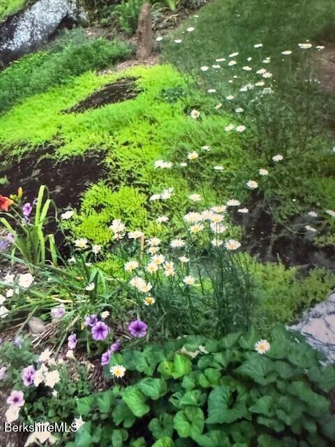 40 Prospect Hill Rd Photo 50