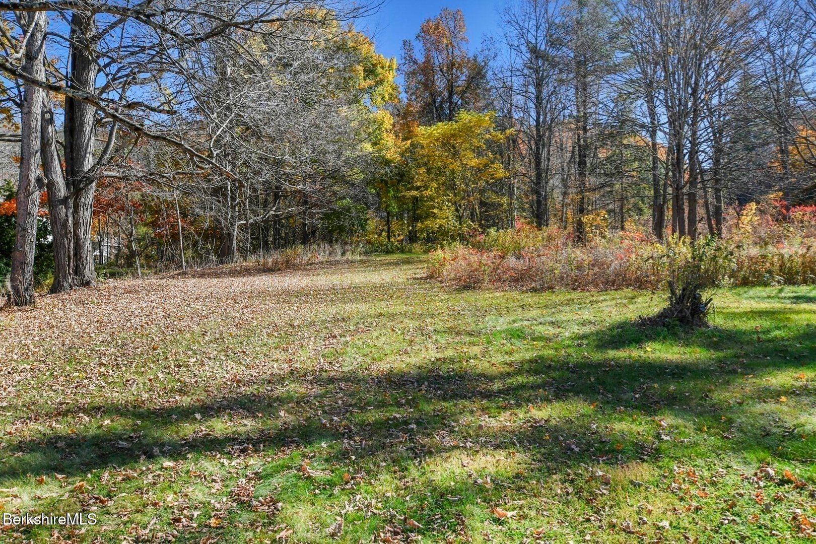 45 Forest St Photo 14