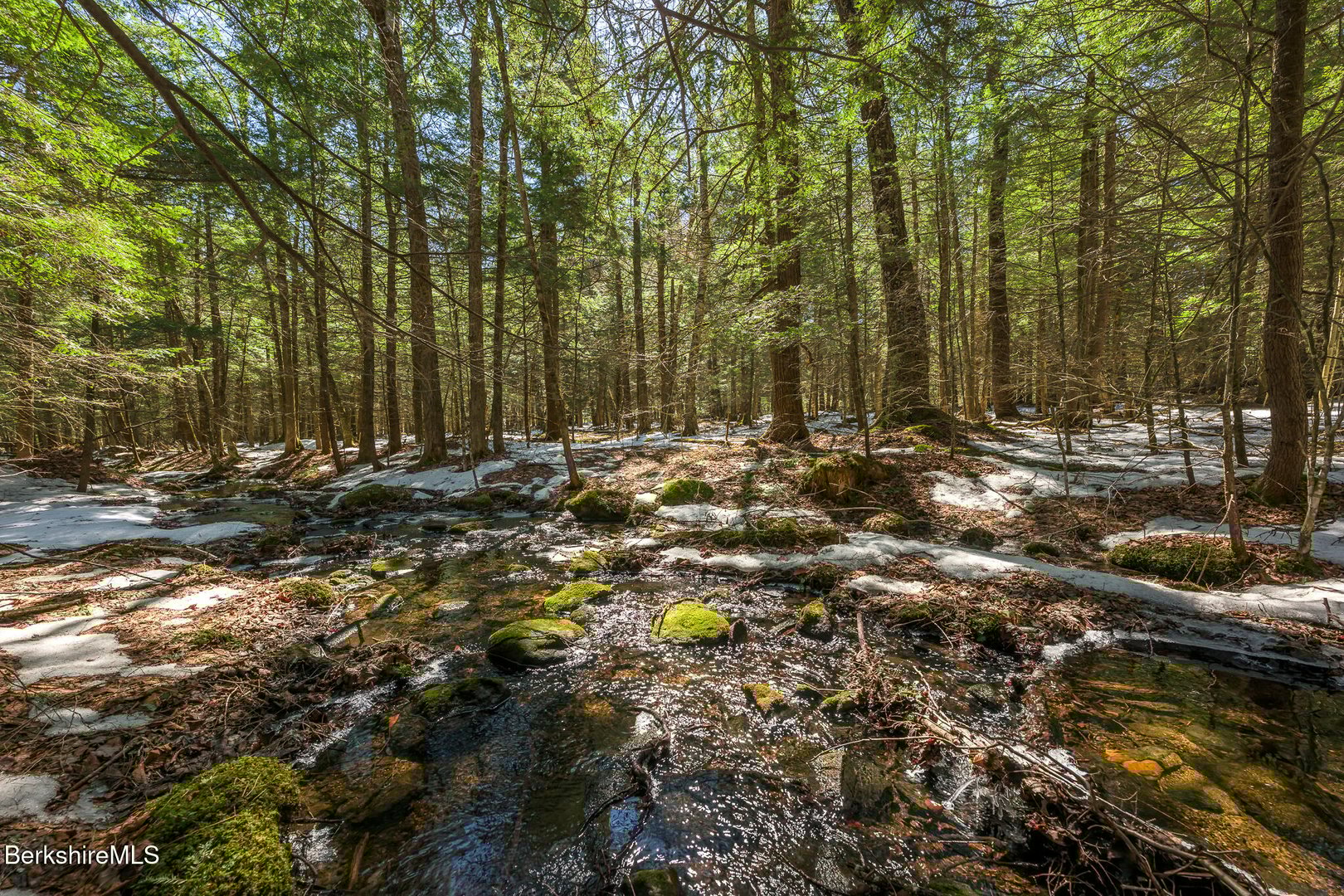 545 W Center Rd Photo 54