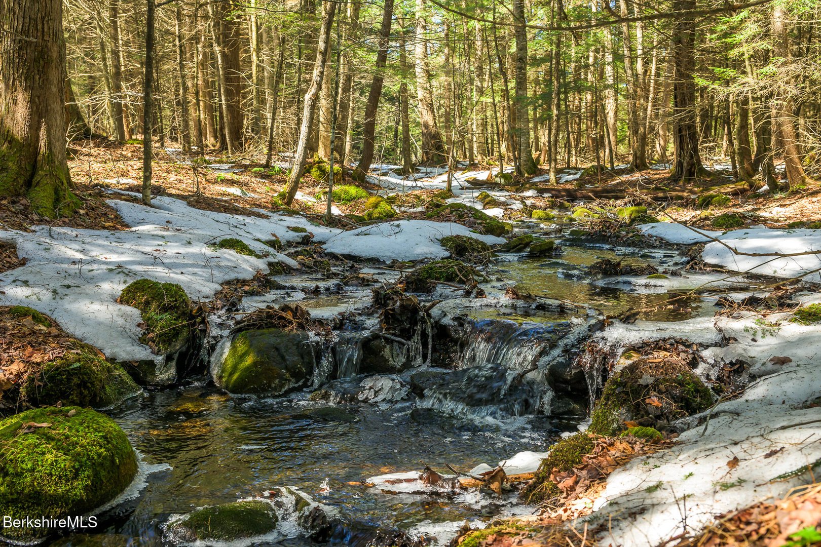 545 W Center Rd Photo 50