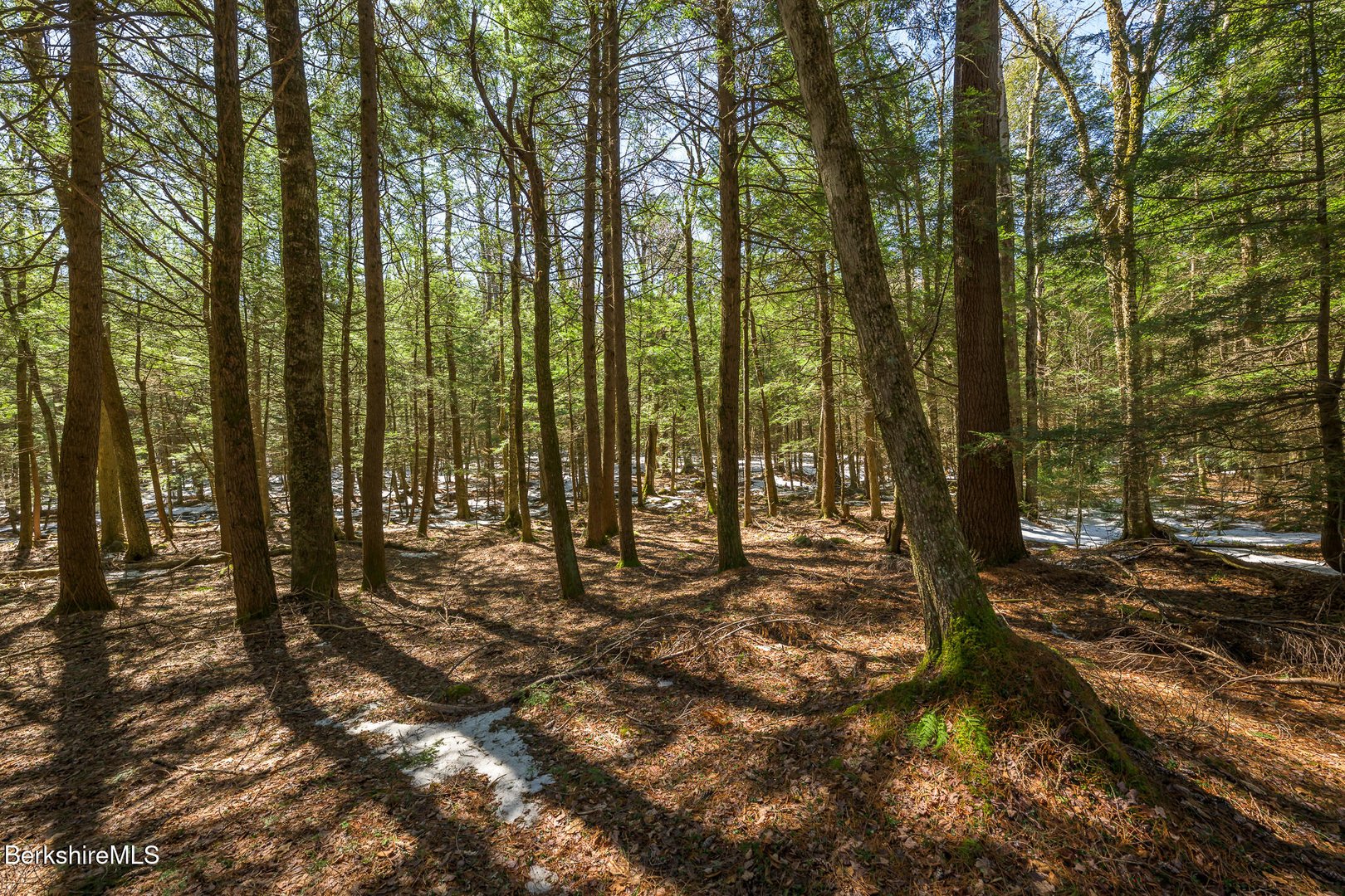 545 W Center Rd Photo 55