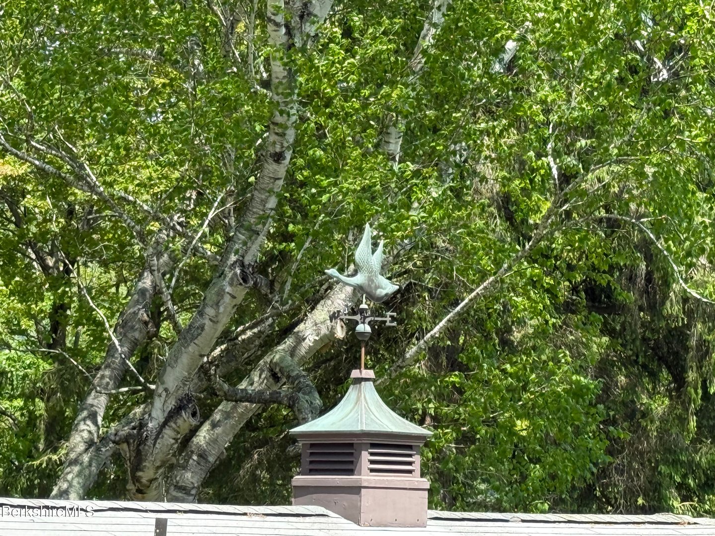 6 Beacon Hill Photo 52