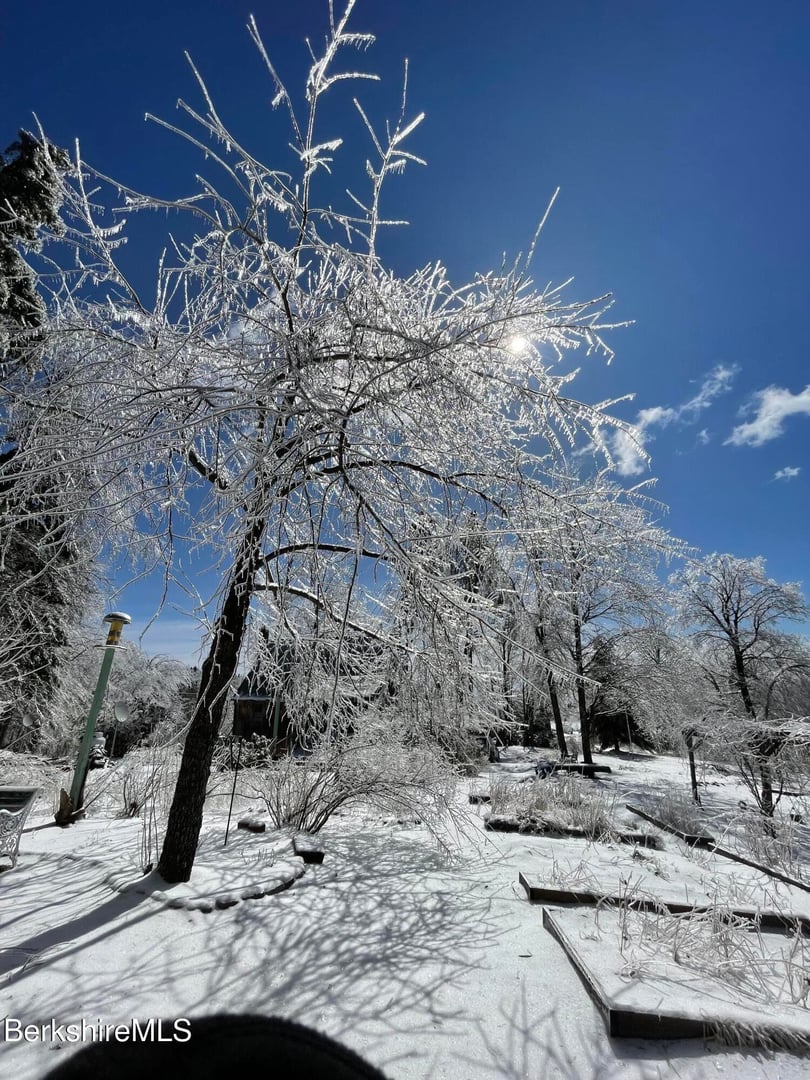 13 Jordan Rd Photo 49