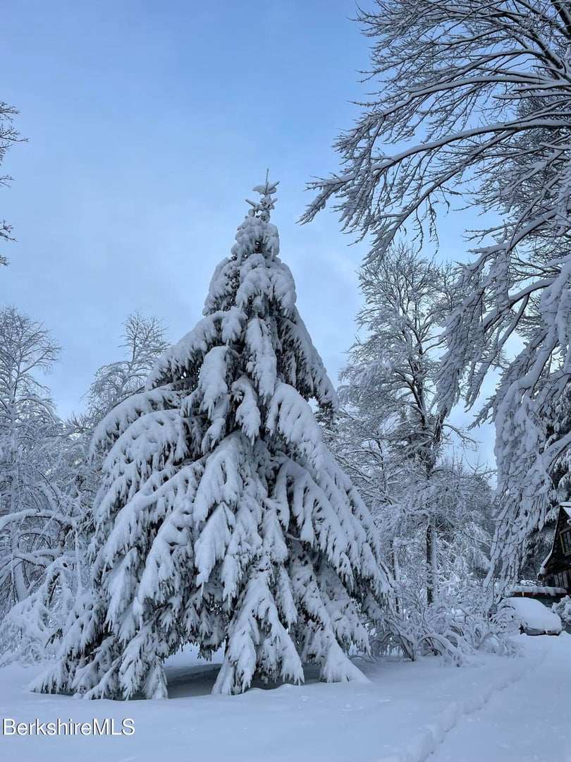 13 Jordan Rd Photo 38