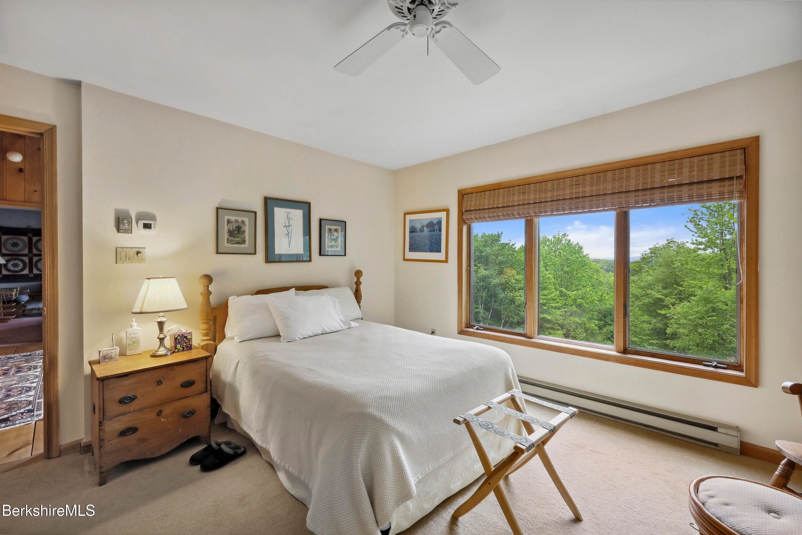 29 Old Village Rd Photo 40