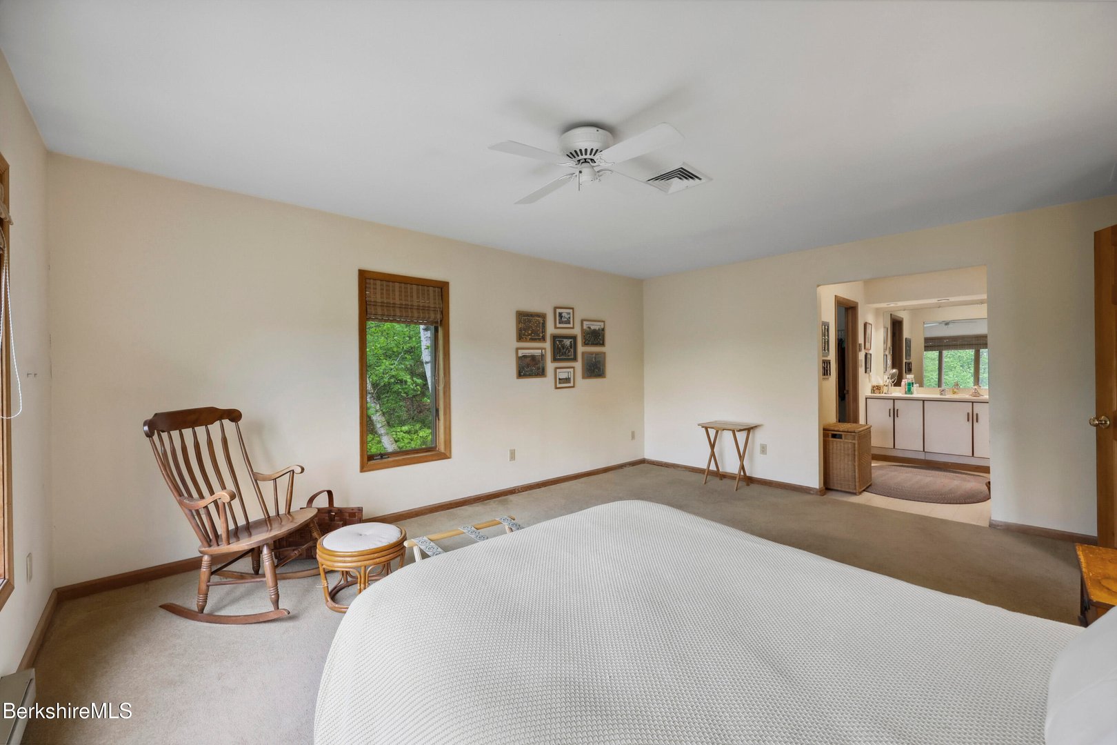 29 Old Village Rd Photo 43