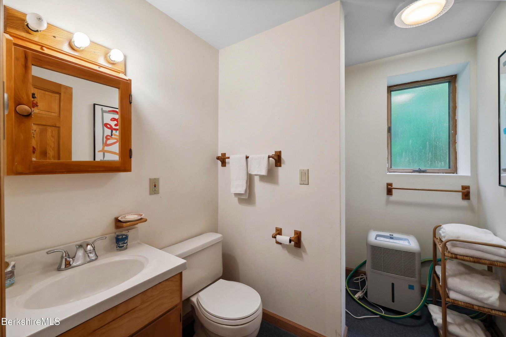 29 Old Village Rd Photo 69