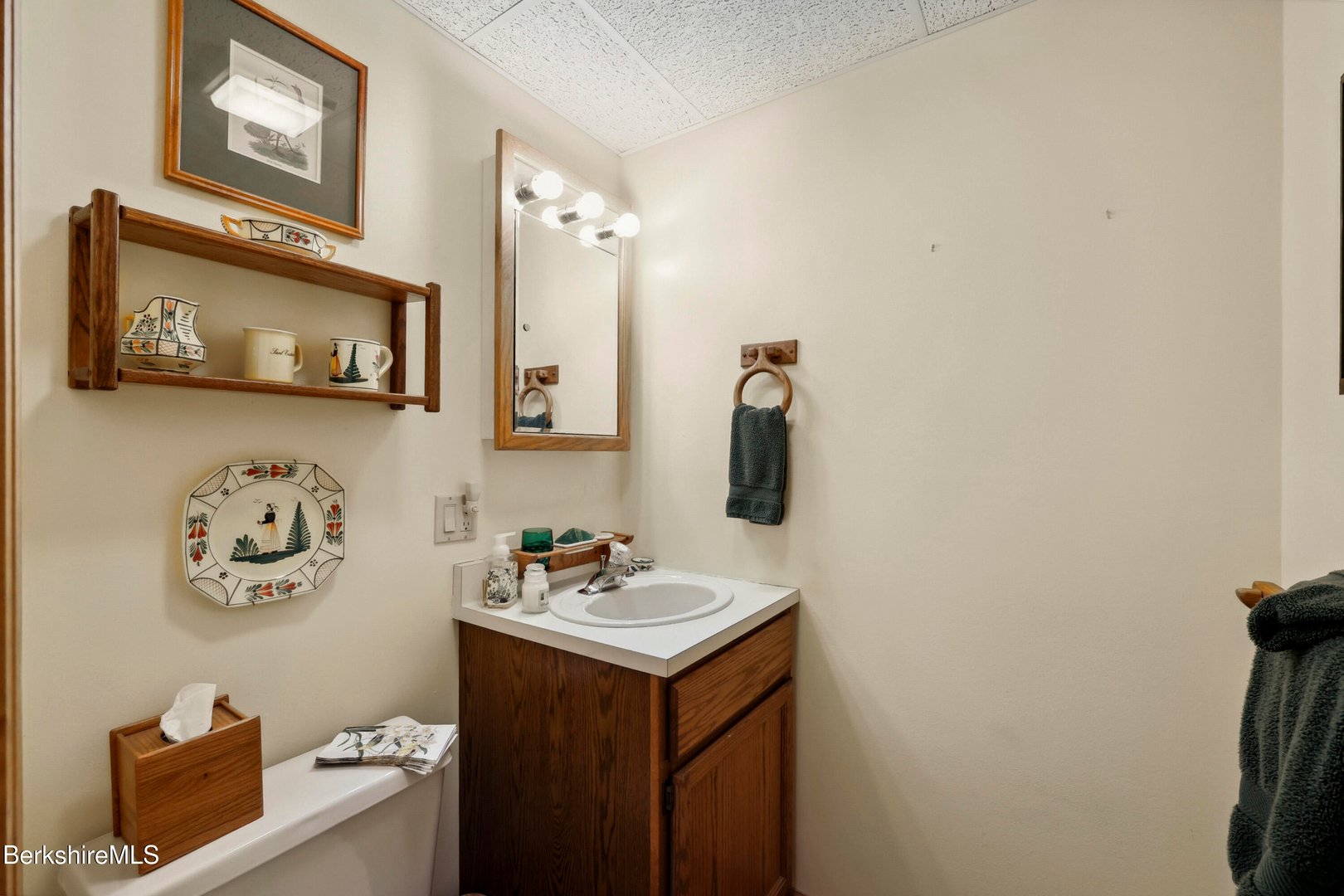 29 Old Village Rd Photo 47