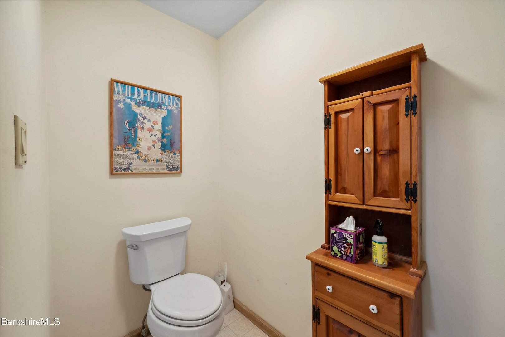 29 Old Village Rd Photo 30