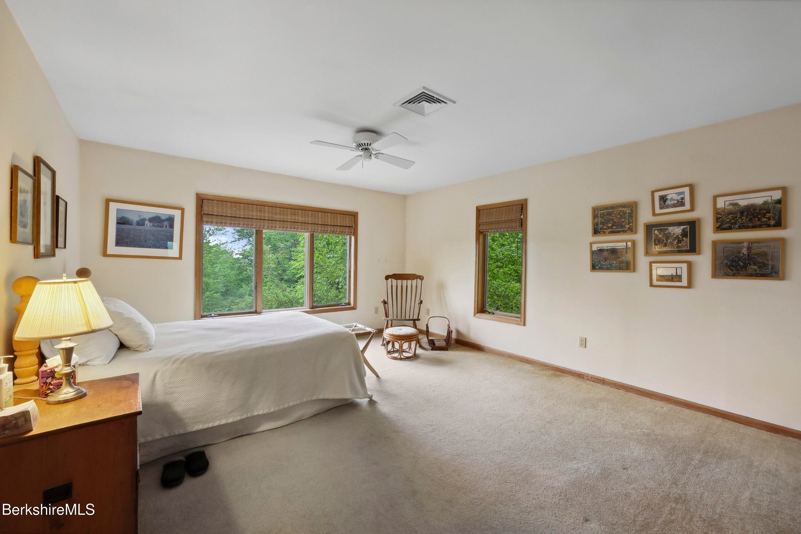 29 Old Village Rd Photo 41